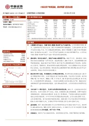 大炼化投产构筑基础,新材料腾飞促进业绩