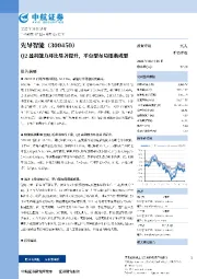 Q2盈利能力环比显著提升，平台型布局逐渐成型