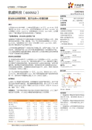 新材料业务超预期,显示业务H2有望回暖