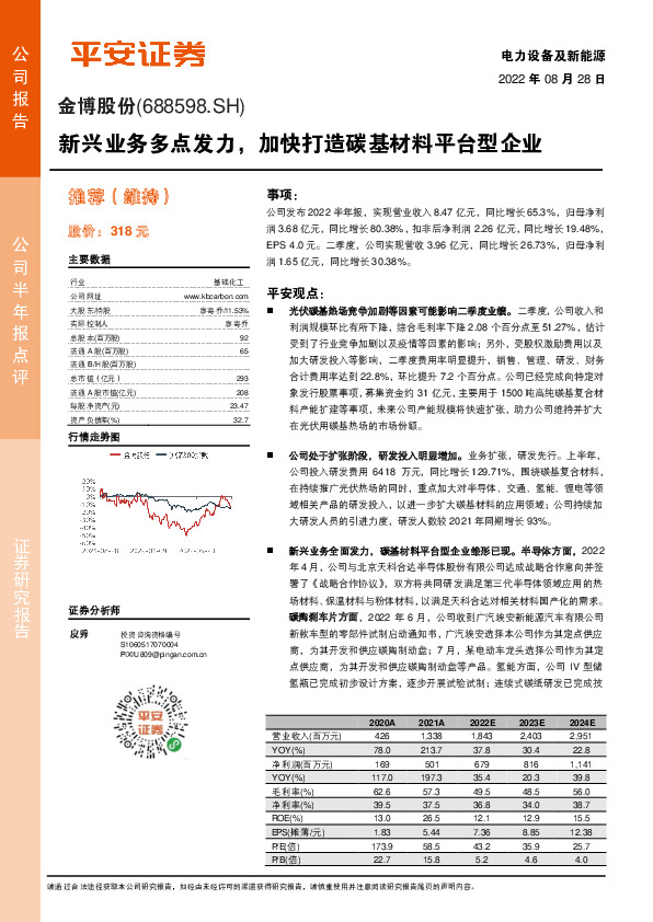 新兴业务多点发力，加快打造碳基材料平台型企业
