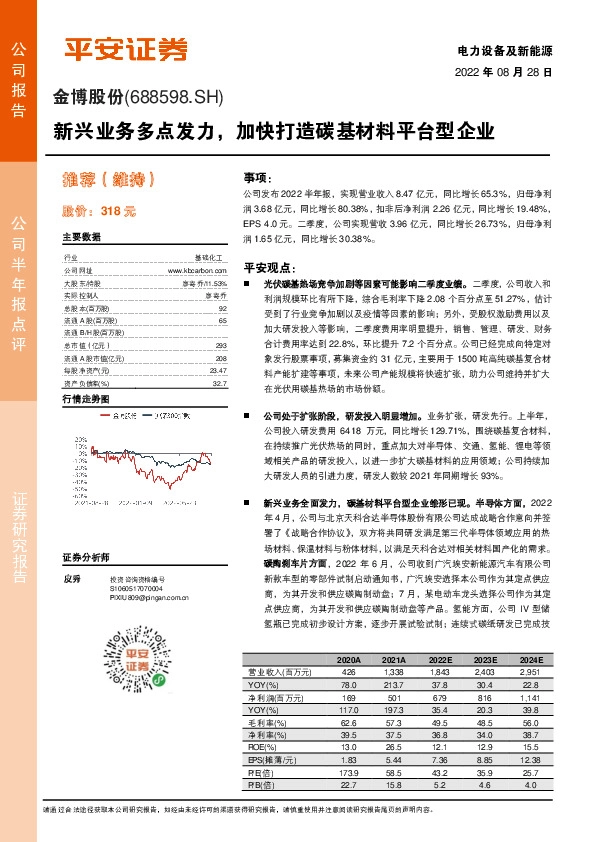 新兴业务多点发力，加快打造碳基材料平台型企业