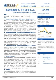 2022年半年度报告点评：营收实现稳健增长，海外创新项目上线