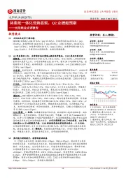 太阳纸业点评报告:林浆纸一体化优势显现,Q2业绩超预期