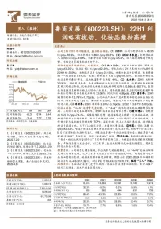 22H1利润略有扰动,化妆品维持高增