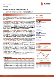 2022年半年度报告点评:盈利能力拐点已现,储能业务加速发展
