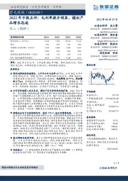 2022年中报点评：毛利率提升明显，模拟产品增长迅速