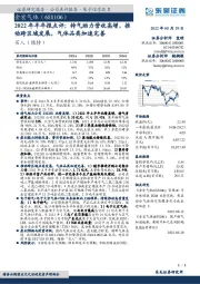 2022年半年报点评:特气助力营收高增,推动跨区域发展,气体品类加速完善