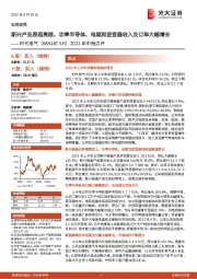 2022年中报点评:新兴产业表现亮眼,功率半导体、电驱和逆变器收入及订单大幅增长