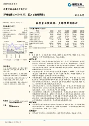 高质量业绩延续,多维度势能释放