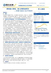 2022年中报点评：聚焦核心领域，Q2业绩高速增长