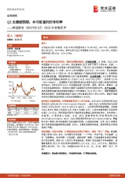 2022半年报点评：Q2业绩超预期，本币贬值利好净利率