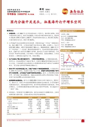 国内分接开关龙头，拓展海外打开增长空间