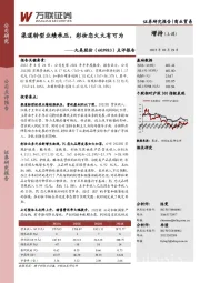 点评报告:渠道转型业绩承压,彩妆恋火大有可为