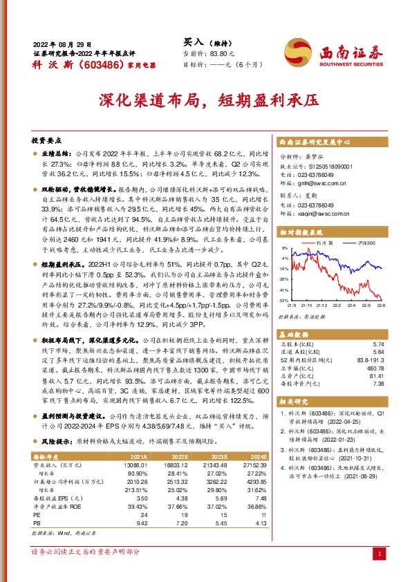 深化渠道布局，短期盈利承压