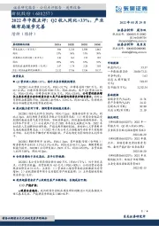 2022年中报点评：Q2收入同比+33%，产业链布局逐步完善