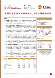 疫情凸显医美龙头经营韧性，Q2业绩略超预期