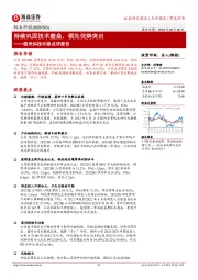 极米科技中报点评报告:持续巩固技术壁垒,领先优势突出