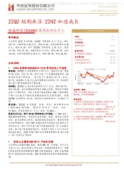 系列点评之十二：22Q2短期承压 22H2加速成长