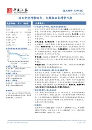 项目受疫情影响大,大数据业务增量可期