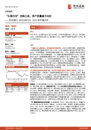2022年中报点评：“头雁作用”持续凸显，资产质量稳中向好
