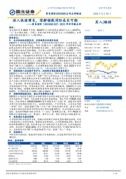 2022年半年报点评：收入快速增长，深耕储能消防成长可期