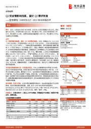 2022年半年报点评：Q2受疫情影响拖累，看好Q3需求恢复