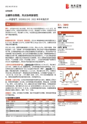 2022年半年报点评：业绩符合预期，风光协同显韧性