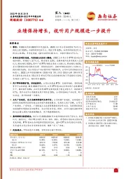 业绩保持增长,视听用户规模进一步提升