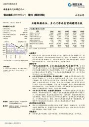 业绩短期承压，多元化布局有望构建增长极