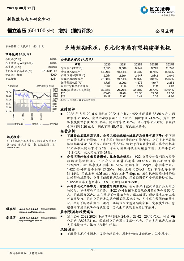 业绩短期承压，多元化布局有望构建增长极