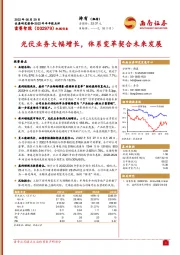 光伏业务大幅增长，体系变革契合未来发展