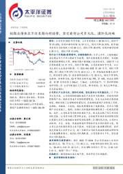 短期业绩承压不改长期向好趋势,坚定看好公司多元化、国际化战略