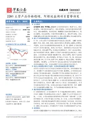 22H1主营产品价格稳增，阿根廷盐湖项目蓄势待发