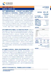 国产掩膜版领航者，半导体产品加速国产替代