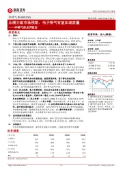 华特气体点评报告：业绩大超市场预期，电子特气有望加速放量