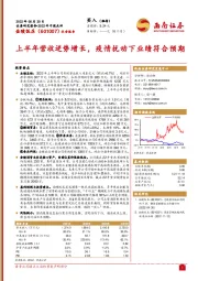上半年营收逆势增长,疫情扰动下业绩符合预期