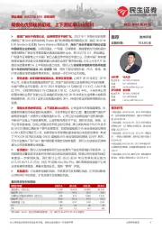 深度报告:规模化优势端倪初现,上下游延展山山而川