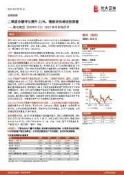 2022年半年报点评：二季度业绩环比提升21%，锂板块布局收效显著