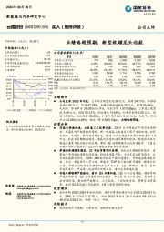 业绩略超预期，新型软磁龙头远航