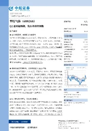 Q2盈利超预期,先行者持续领跑