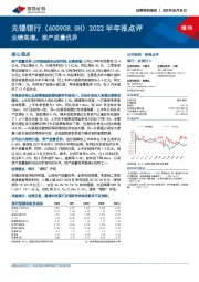 2022半年报点评:业绩高增,资产质量优异