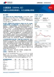 电踏车业务维持高增长，自主品牌稳步推进