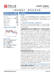 二期如期投产,静待底部反转