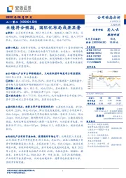 业绩符合预期,国际化布局成果显著