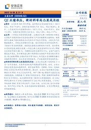 Q2业绩承压,新材料布局凸显成长性