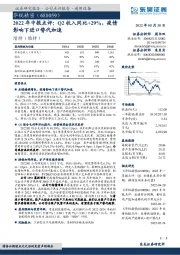 2022年中报点评:Q2收入同比+29%,疫情影响下进口替代加速