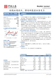 短期业绩承压，静待新能源业务发力