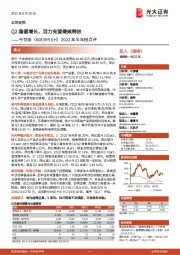 2022年半年报点评:Q2稳健增长,活力有望继续释放