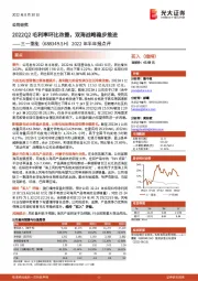 2022年半年报点评：2022Q2毛利率环比改善，双海战略稳步推进