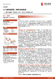 2022半年报点评：Q2业绩再超预期，新模式逐渐跑通